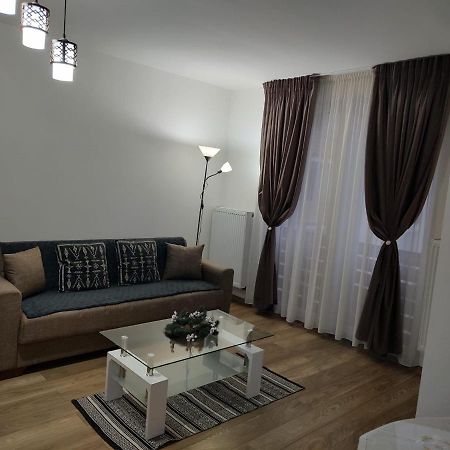 Appartement Casa Ioana à Târgu-Mureş Extérieur photo