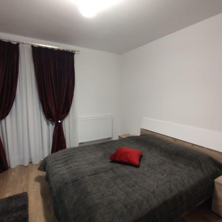 Appartement Casa Ioana à Târgu-Mureş Extérieur photo