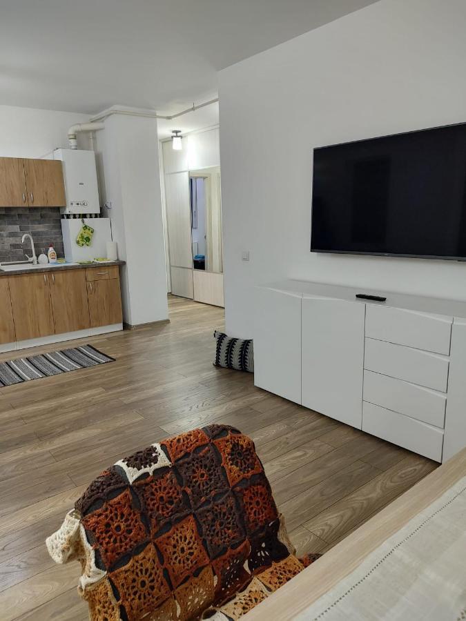 Appartement Casa Ioana à Târgu-Mureş Extérieur photo