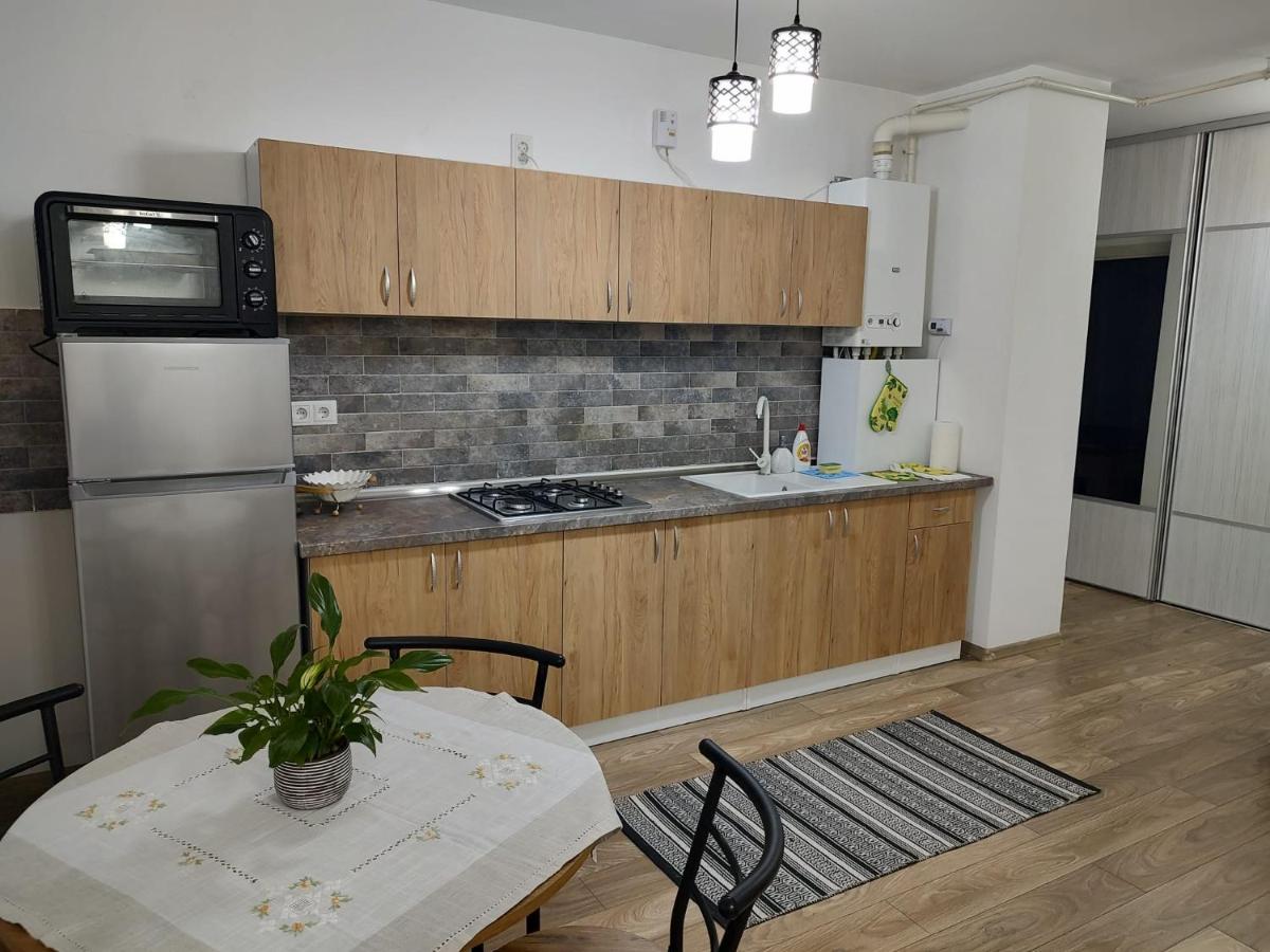 Appartement Casa Ioana à Târgu-Mureş Extérieur photo