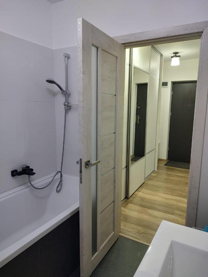 Appartement Casa Ioana à Târgu-Mureş Extérieur photo