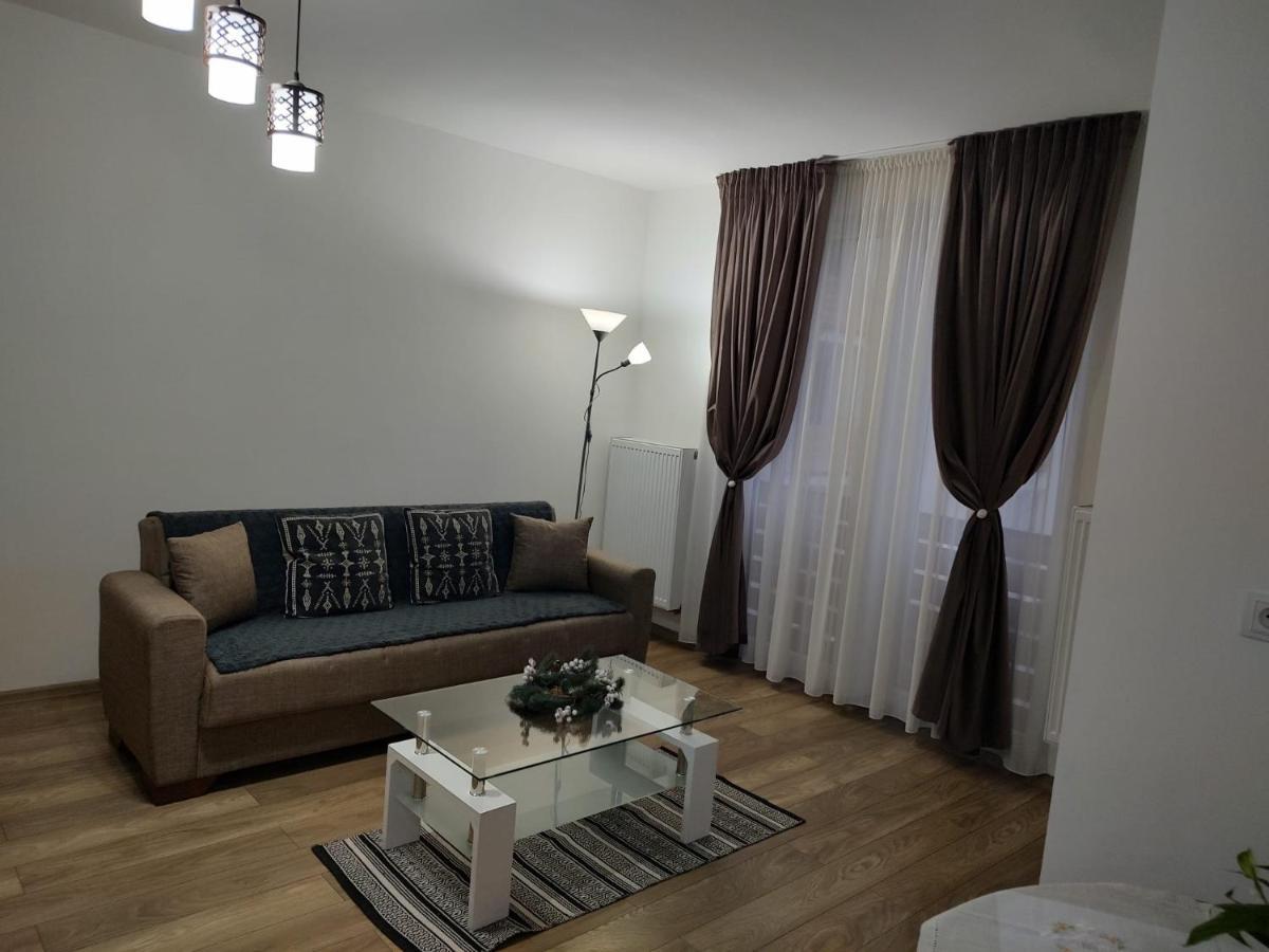 Appartement Casa Ioana à Târgu-Mureş Extérieur photo