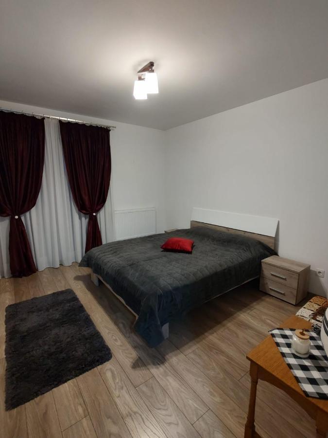Appartement Casa Ioana à Târgu-Mureş Extérieur photo