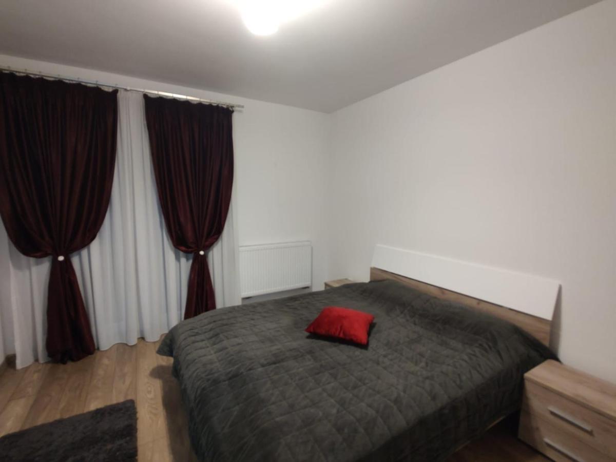 Appartement Casa Ioana à Târgu-Mureş Extérieur photo