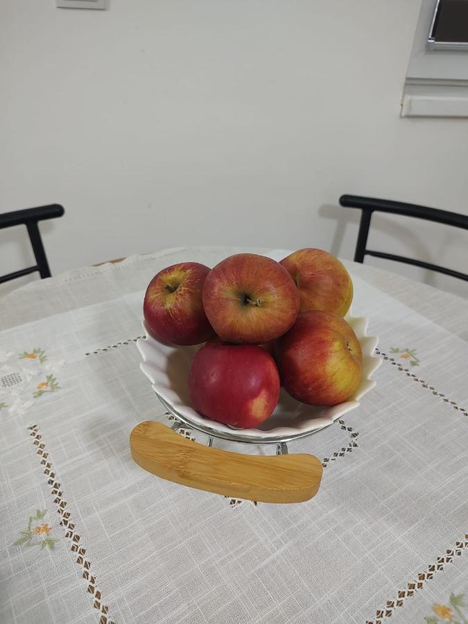 Appartement Casa Ioana à Târgu-Mureş Extérieur photo