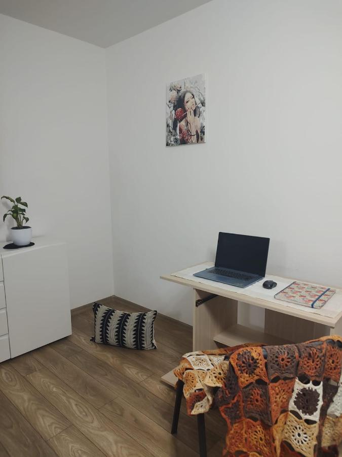 Appartement Casa Ioana à Târgu-Mureş Extérieur photo