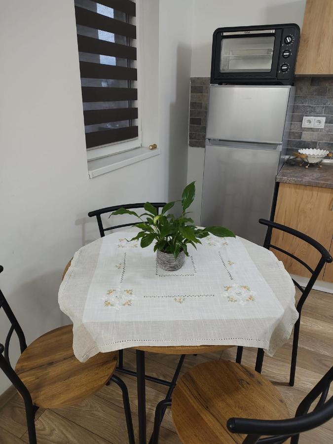 Appartement Casa Ioana à Târgu-Mureş Extérieur photo