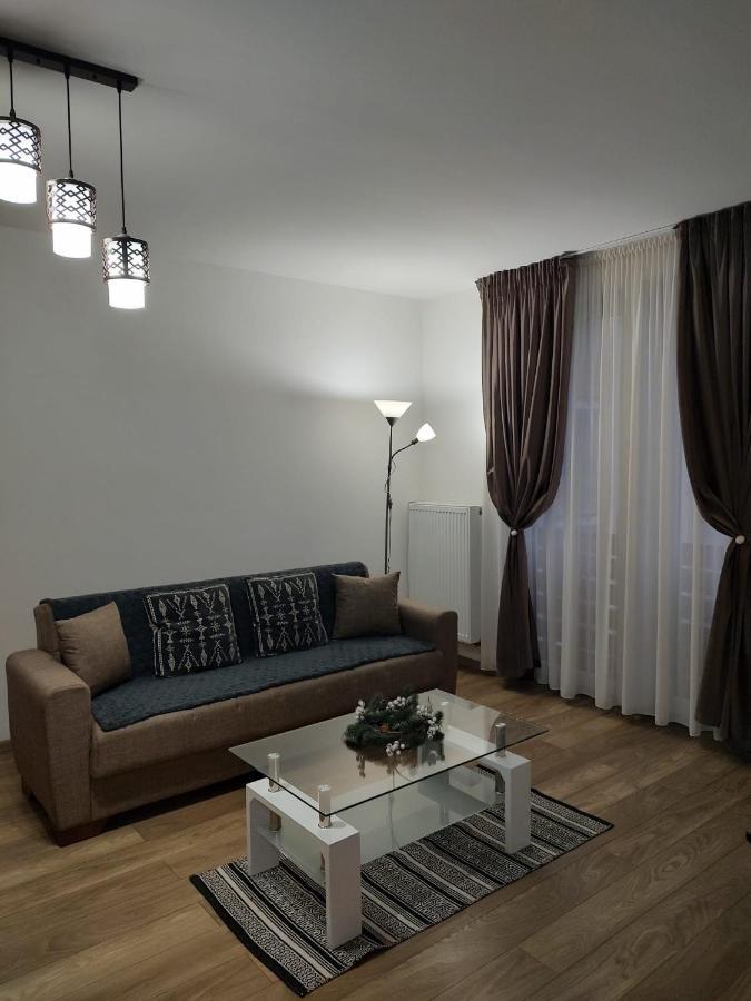 Appartement Casa Ioana à Târgu-Mureş Extérieur photo